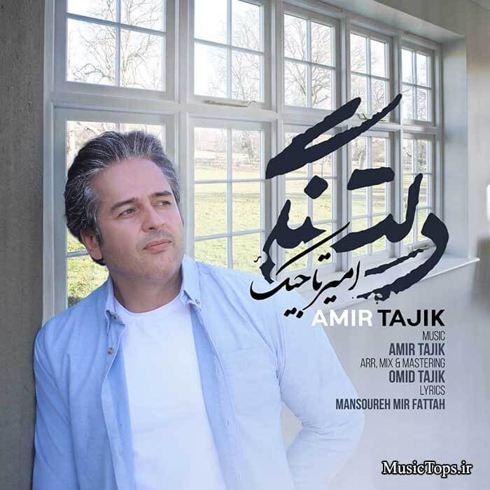 دانلود آهنگ امیر تاجیک دلتنگی کیفیت اصلی MP3 + متن